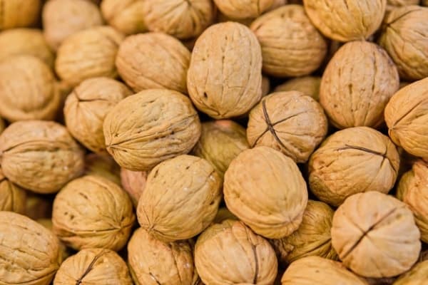 تصویر 3 از فروش گردو کاغذی ایرانی + قیمت خرید به صرفه